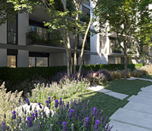 פרויקט באזל  אקרו נדל"ן  - מתחם המגורים באזל